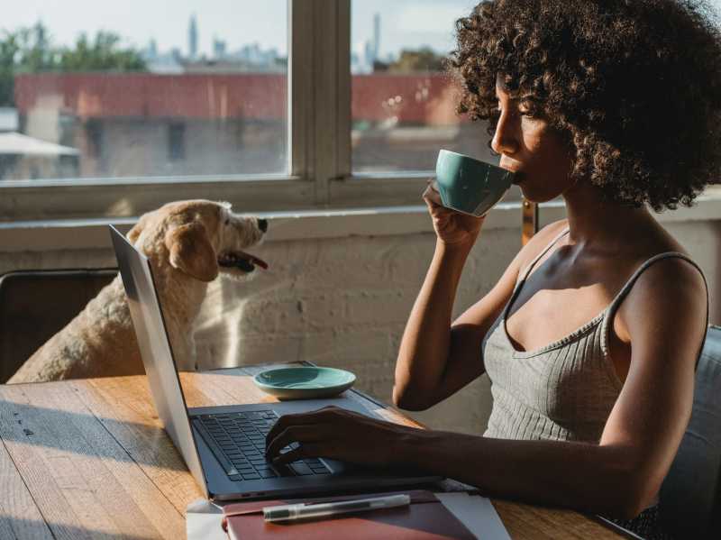 The Magic Of Collaboration